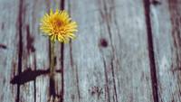 Quelle: unsplash.com